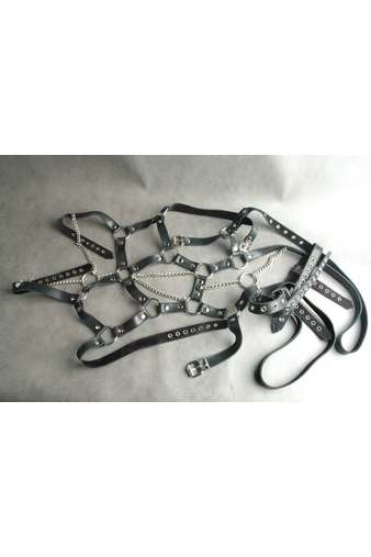 Шлейка-Сбруя 