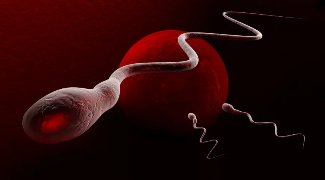 Остались ли остатки спермы в уретре